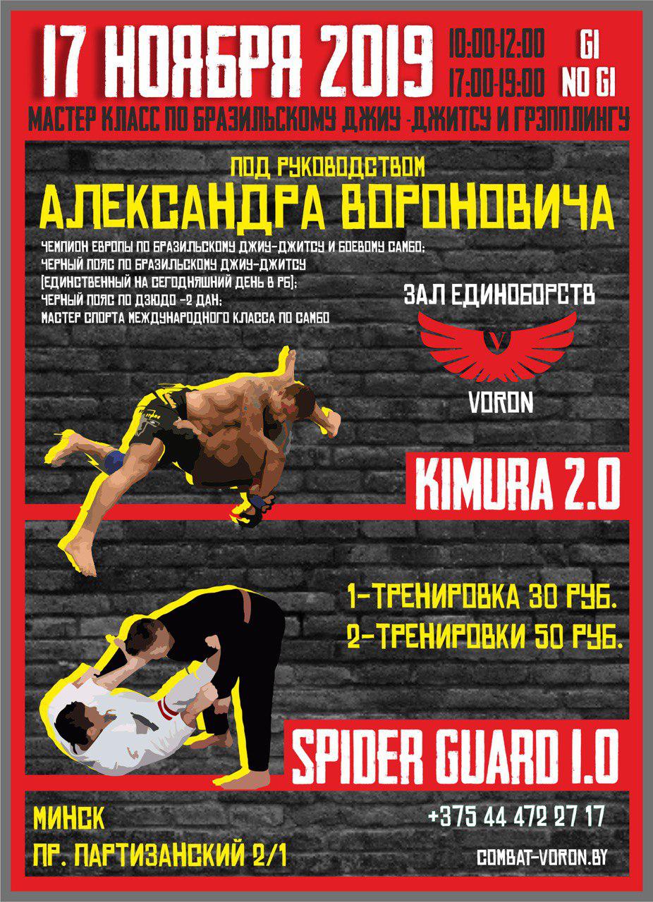 Мастер-класс Александра Вороновича  по бразильскому джиу-джитсу. 17.11.2019.
